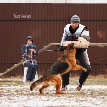 Зависть Богов Фантазия